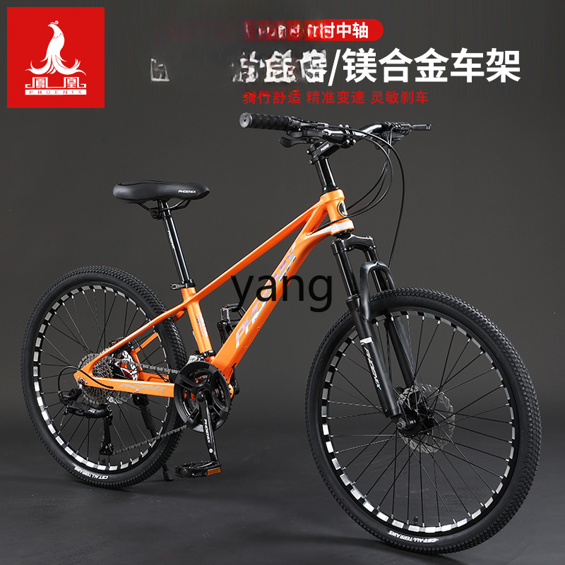 LTT Magnesium Alloy Male and F - Mountain Biking Youth review and price