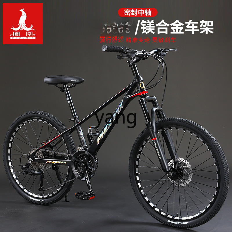 LTT Magnesium Alloy Male and F - Mountain Biking Youth review and price