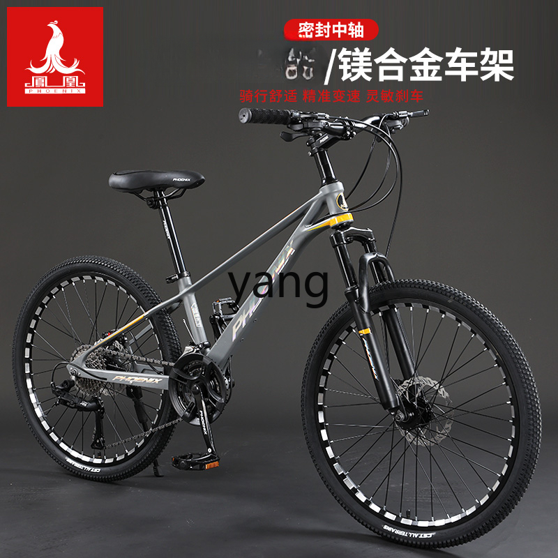 LTT Magnesium Alloy Male and F - Mountain Biking Youth review and price