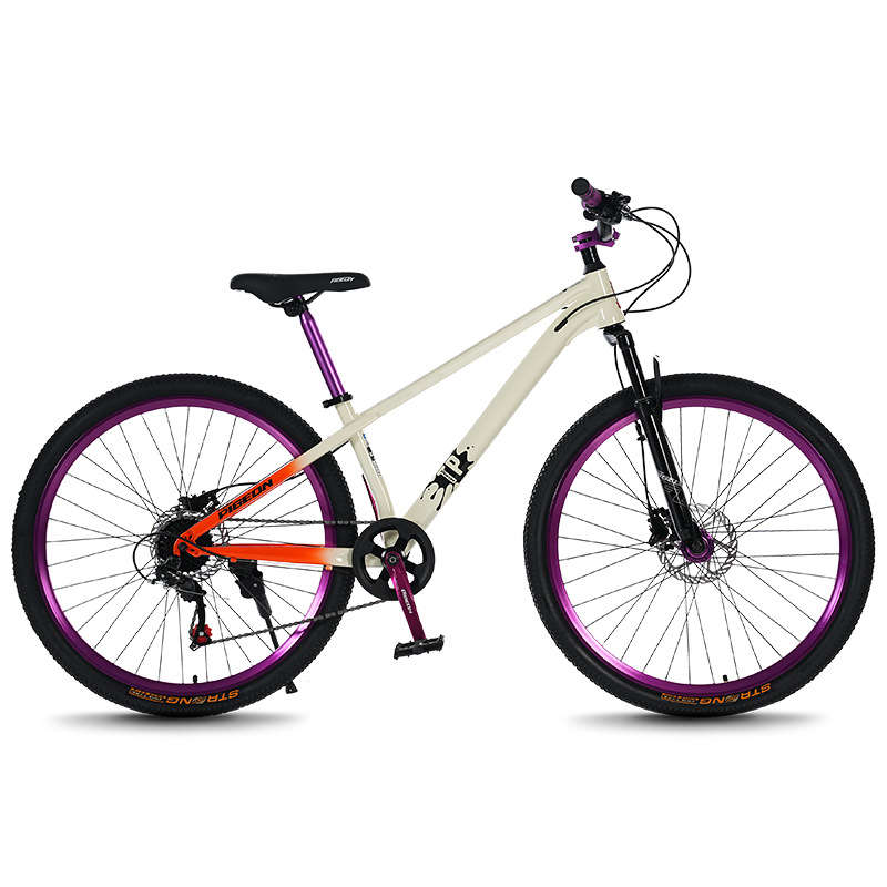 Mountain bike  youth & adult   - Mountain Biking Youth review and price