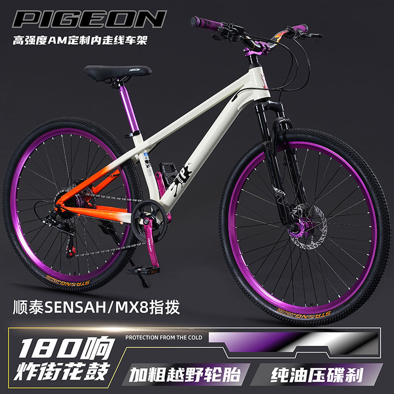 Mountain bike  youth & adult   - Mountain Biking Youth review and price