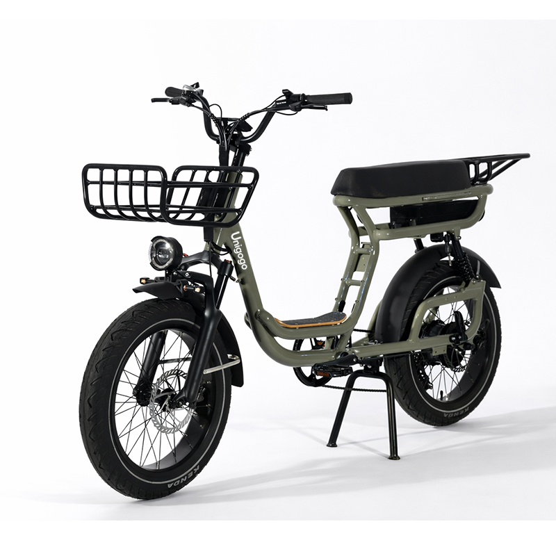 N3 20 Inch Electric Mountain B - Mountain Biking App review and price