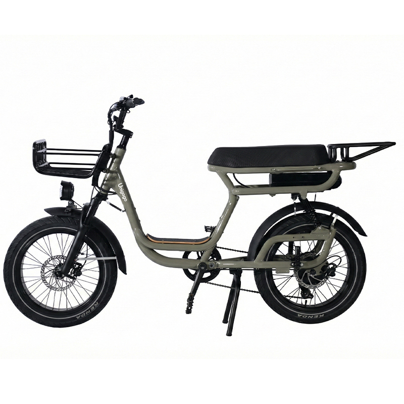 N3 20 Inch Electric Mountain B - Mountain Biking App review and price