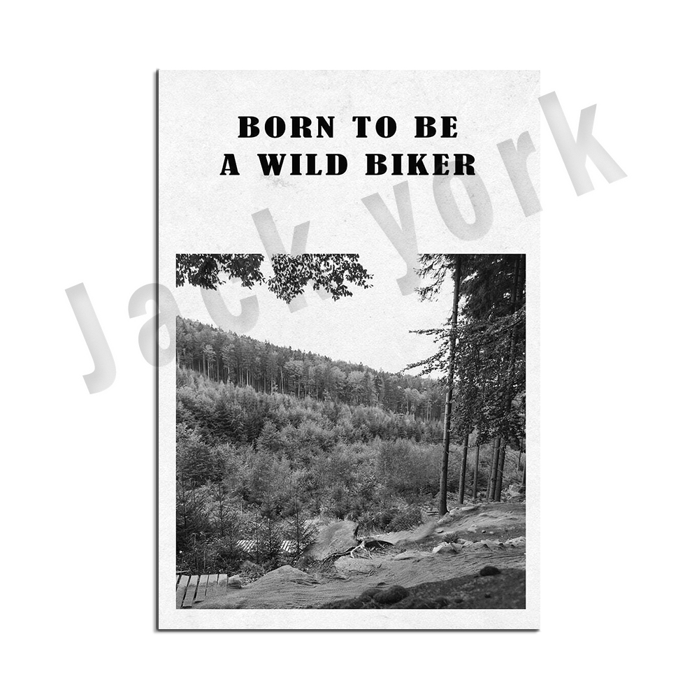 mountain bike art, bike poster - Mountain Biking York review and price